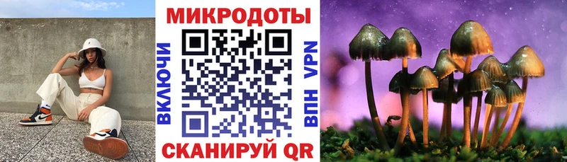 Галлюциногенные грибы Psilocybe  блэк спрут онион  Жуковский 